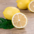 New Crop Fresh Lemon Fruits Wholesale Price